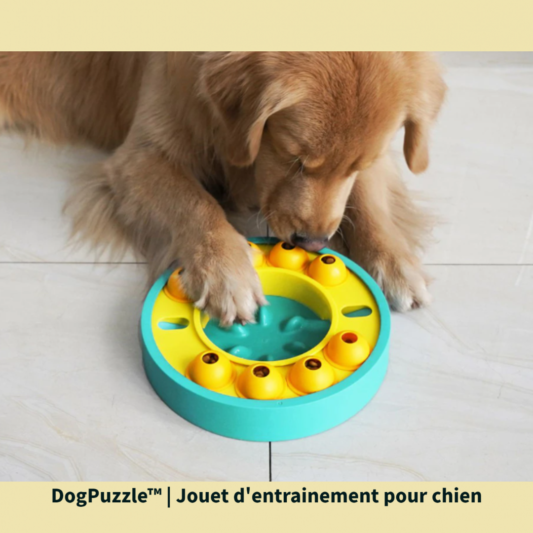 DogPuzzle™ | Jouet d'entrainement pour chien